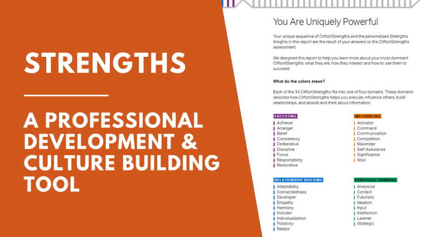 Strengths Professional Development